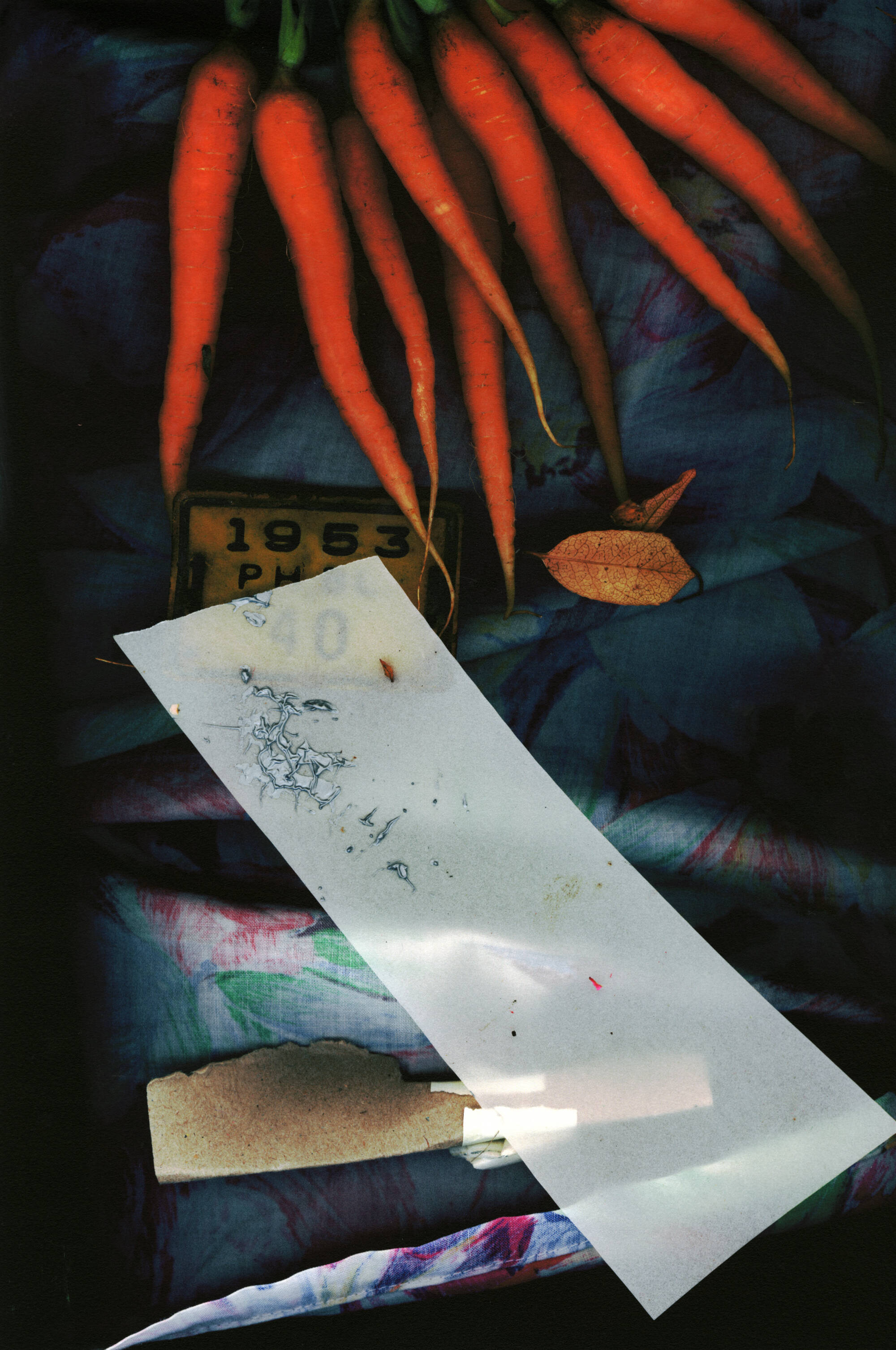 Photographic image of carrots at the top and various tools at the bottom.
